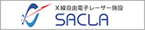 SACLA(XFEL)